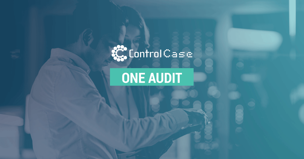 One Audit